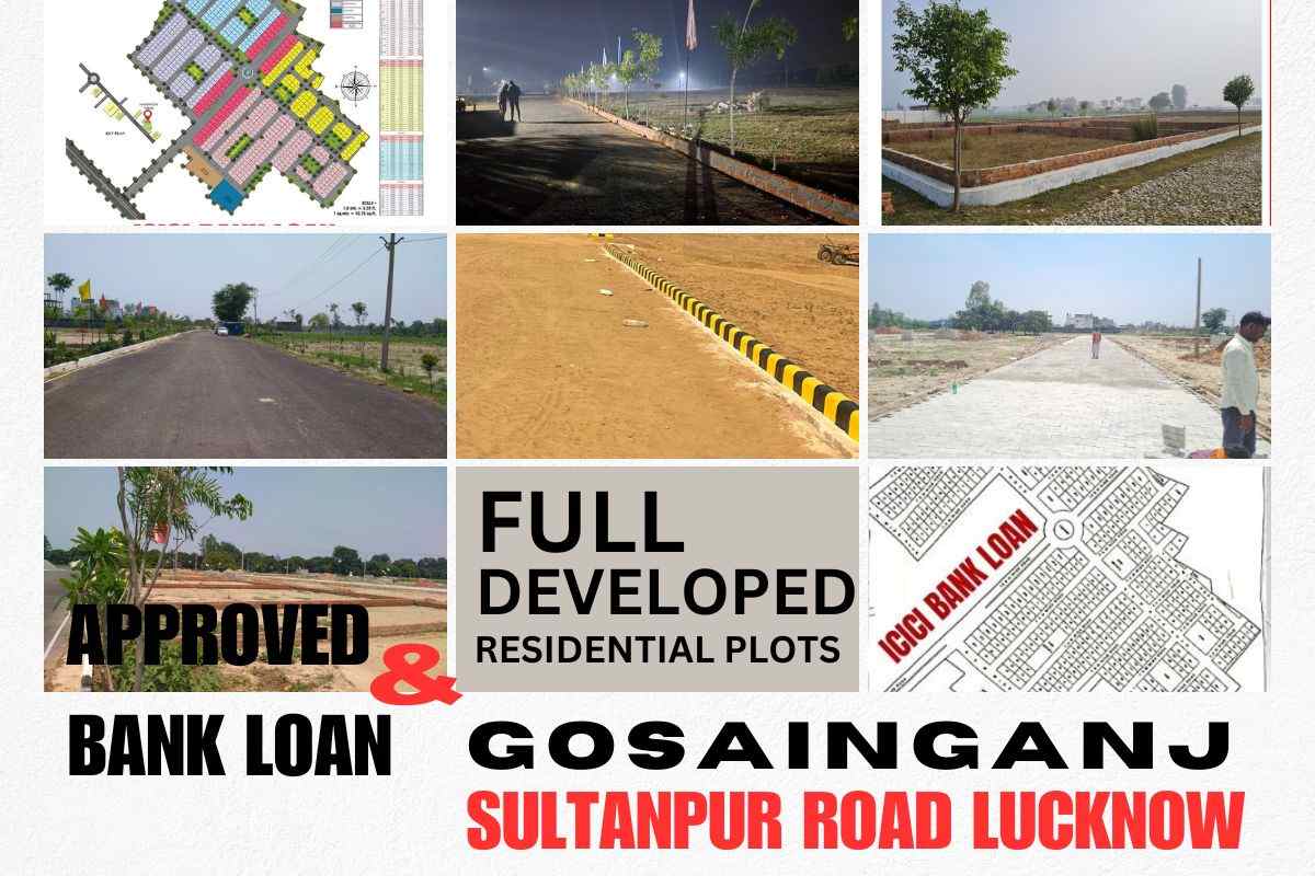 affordable land in gosainganj for sale